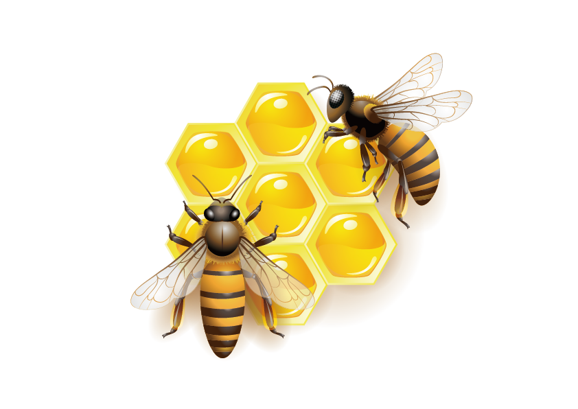 bee clipart